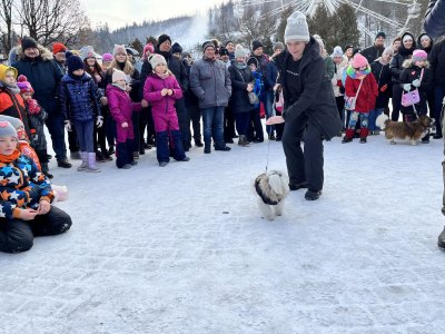 31.Finał WOŚP w Wiśle
